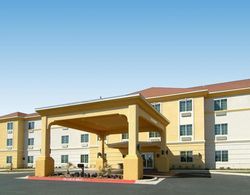 Comfort Inn & Suites Odessa Area Genel
