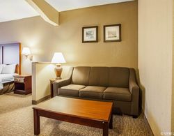Comfort Inn & Suites O'Fallon Area Genel