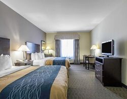 Comfort Inn & Suites Oklahoma City West - I-40 Genel