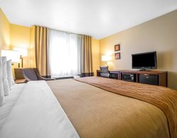 Comfort Inn & Suites Orem near University Genel
