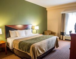 Comfort Inn & Suites Panama City Mall Genel