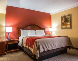 Comfort Inn & Suites Panama City Panama City Beach Genel