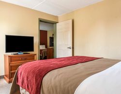 Comfort Inn & Suites Panama City Panama City Beach Genel