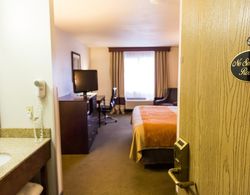 Comfort Inn & Suites Paw Paw Area Genel