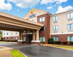 Comfort Inn & Suites Pine Bluff Area Genel