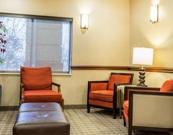 Comfort Inn & Suites Quad Cities - East Moline Genel