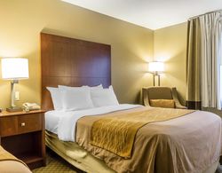 Comfort Inn & Suites Quad Cities - East Moline Genel