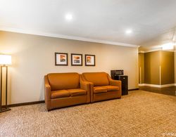 Comfort Inn & Suites Redwood Country Genel