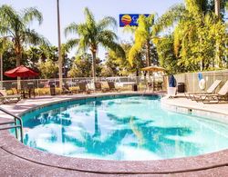 Comfort Inn & Suites Sanford Havuz