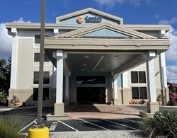 Comfort Inn & Suites Sarasota I75 Dış Mekan