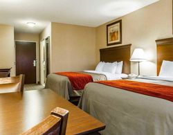 Comfort Inn & Suites Scarborough-Portland Genel