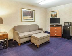 Comfort Inn & Suites Sea-Tac Airport Genel