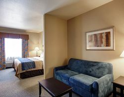 Comfort Inn & Suites Selma near Randolph AFB Genel