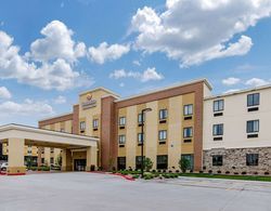Comfort Inn & Suites Shawnee - Kansas City Öne Çıkan Resim