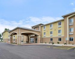 Comfort Inn & Suites Springfield I-55 Genel
