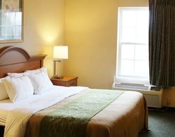 Comfort Inn & Suites St. Louis - Chesterfield Genel