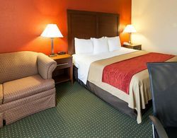 Comfort Inn & Suites Statesville - Mooresville Genel