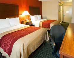 Comfort Inn & Suites Statesville - Mooresville Genel