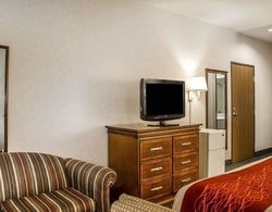 Comfort Inn & Suites (Streetsboro) Genel