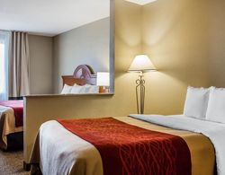 Comfort Inn & Suites Surprise - Phoenix NW Genel