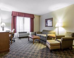 Comfort Inn & Suites Tifton Area Genel