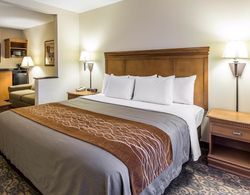 Comfort Inn & Suites Tifton Area Genel