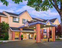 Comfort Inn & Suites Tualatin - Portland South Genel