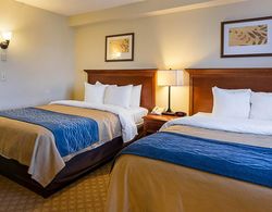 Comfort Inn & Suites Virginia Beach  Norfolk Airpo Genel