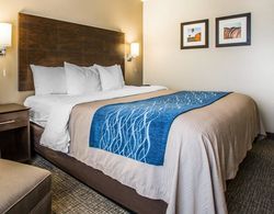 Comfort Inn & Suites Waterloo - Cedar Falls Genel