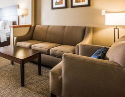 Comfort Inn & Suites Waterloo - Cedar Falls Genel