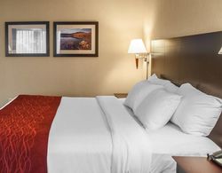 Comfort Inn & Suites Watertown - 1000 Islands Genel