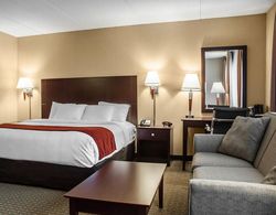 Comfort Inn & Suites Watertown - 1000 Islands Genel