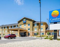 Comfort Inn & Suites West Artesia Genel