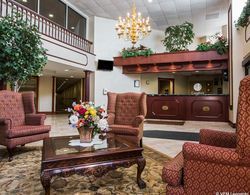 Comfort Inn & Suites White Plains Genel