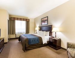 Comfort Inn & Suites Winnie Genel