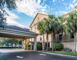 Comfort Inn University Gainesville Genel