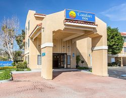 Comfort Inn (Ventura) Genel