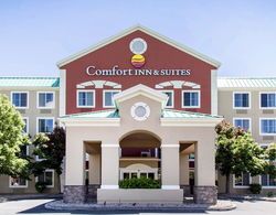 Comfort Inn West Valley - Salt Lake City South Genel