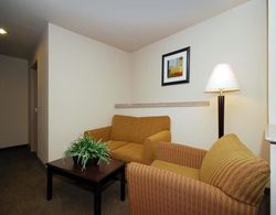 Comfort Suites Arlington Genel