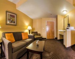 Comfort Suites At Rivergate Mall Genel