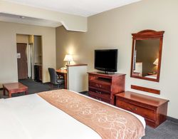 Comfort Suites Auburn Genel