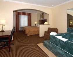 Comfort Suites (Baytown) Genel