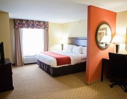 Comfort Suites Bloomington Genel