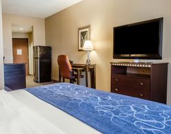 Comfort Suites Bloomsburg Area Genel