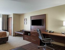 Comfort Suites Bridgeport - Clarksburg Lobi