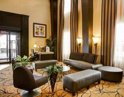 Comfort Suites Buda Austin South Genel