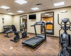 Comfort Suites Channelview Aktiviteler