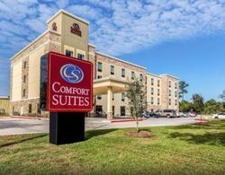 Comfort Suites Channelview Genel