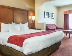 Comfort Suites Columbus Area Genel