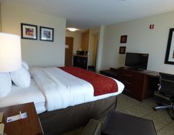 Comfort Suites Columbus West- Hilliard Genel